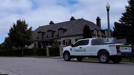 About Kawartha Lakes Tree Service Ontario