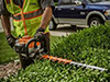 Hedge Trimming Kawartha Lakes Ontario