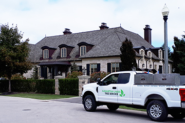 Kawartha Lakes Tree Service