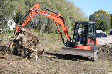 Land Clearing Kawartha Lakes Tree Service Ontario