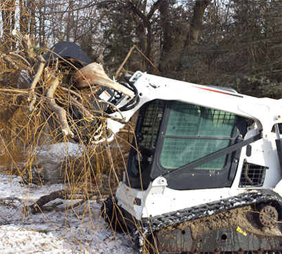 Land Clearing Kawartha Lakes Tree Service Ontario