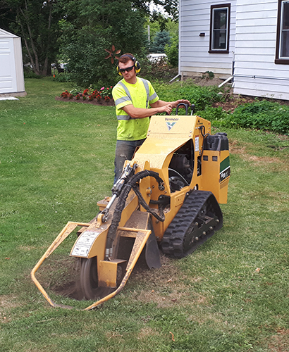 Stump Removal Kawartha Lakes Tree Service Ontario