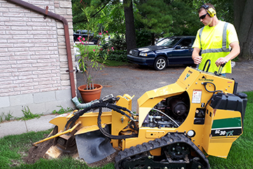 Stump Removal Kawartha Lakes Ontario