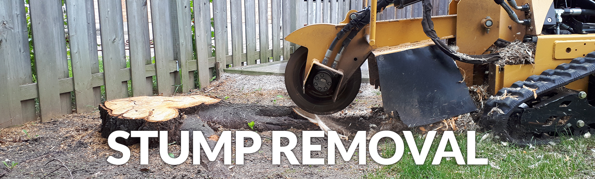 Stump Removal Kawartha Lakes Ontario