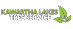 Tree Removal Kawartha Lakes Tree Service Ontario